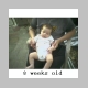 alex8wks.jpg